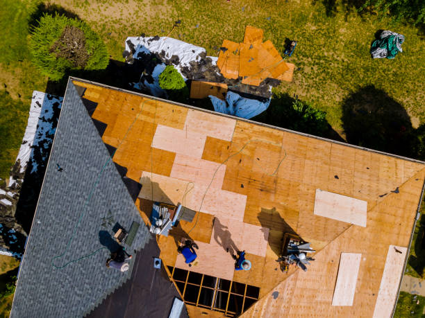 Best Roof Gutter Cleaning  in Machesney Park, IL