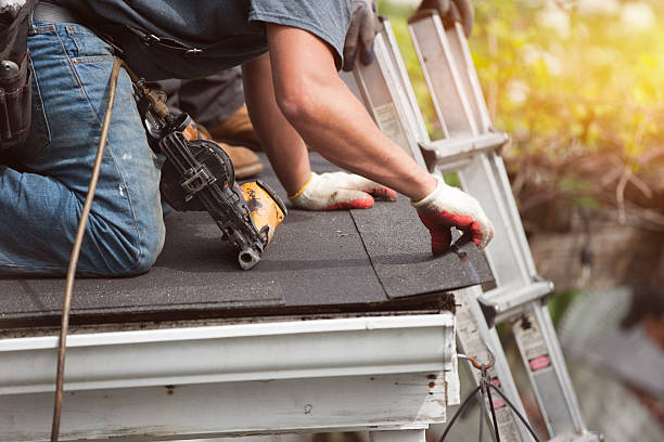 Best Roof Gutter Cleaning  in Machesney Park, IL